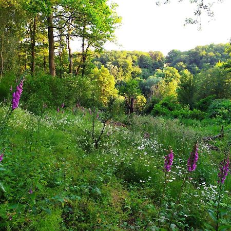 La Cabane Des Beaux Chenes Evrunes Exteriér fotografie
